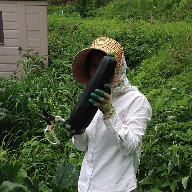 本日、25日火曜日は都合により臨時休業いただきます。