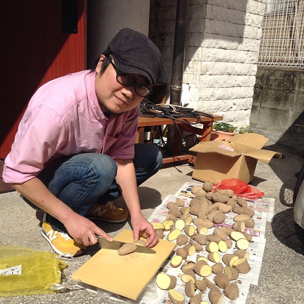 じゃがいもの種芋を真っ二つ