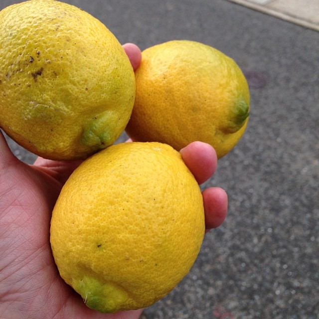 リモンチェッロつくるばい