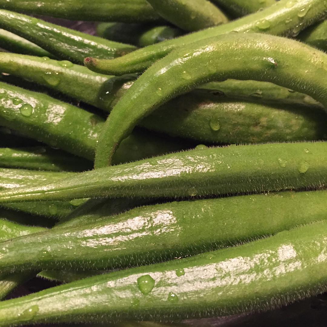 丸オクラ、今年もそろそろ終わりになりそうです。また来年！