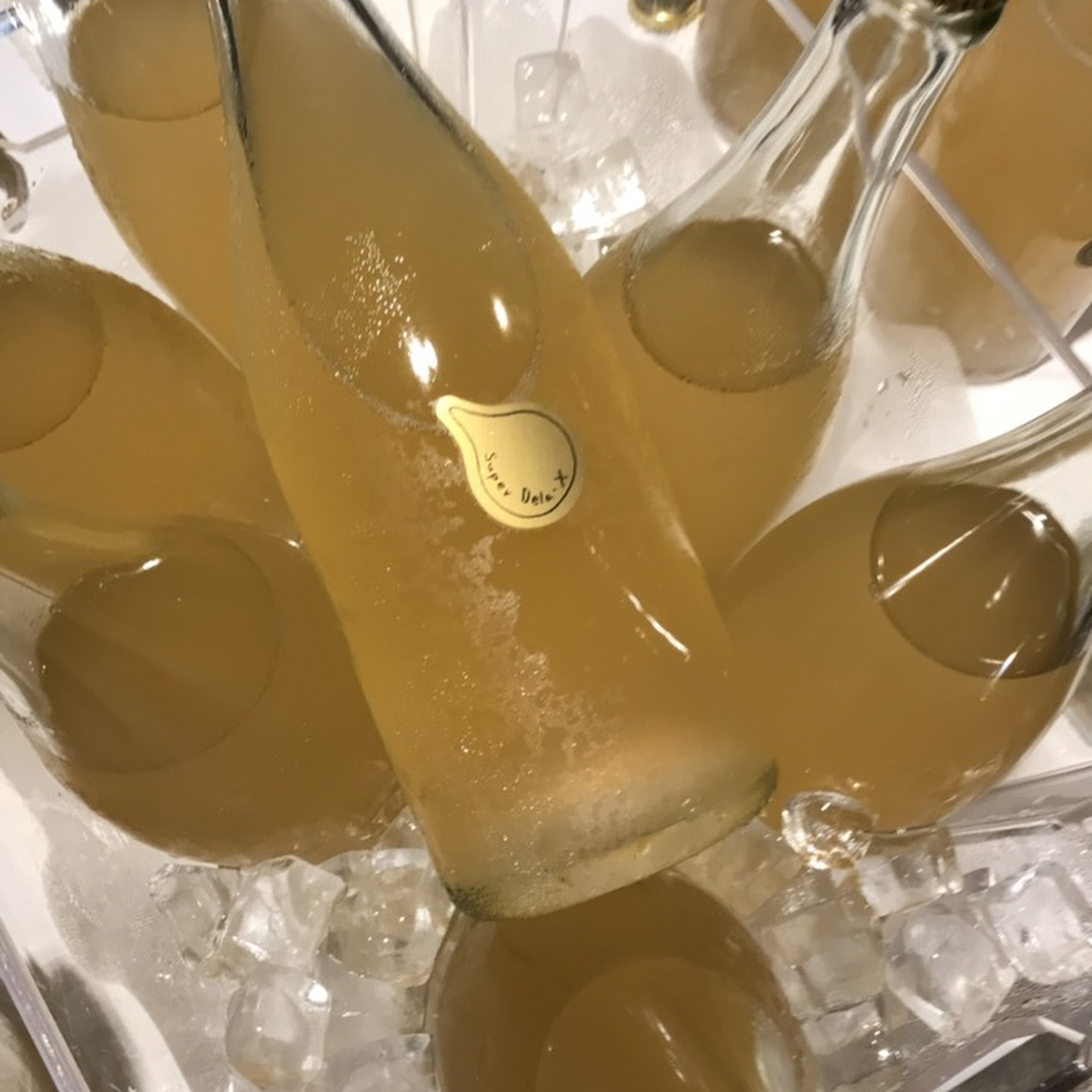 熊本はめっちゃ元気です！