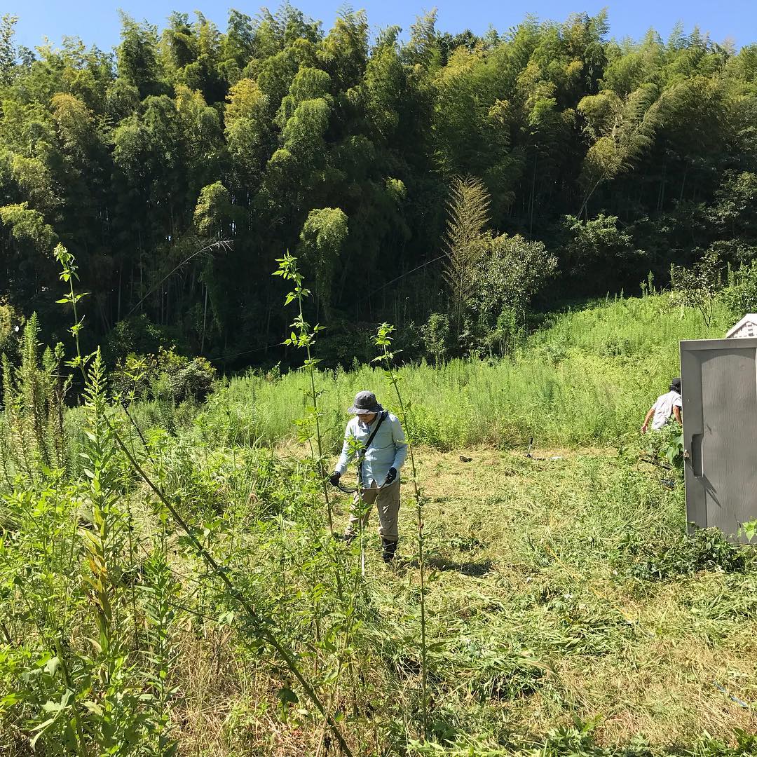 畑の草刈り。天気良すぎー#畑仕事再始動#まだ熱中症注意#イルフェソワフ