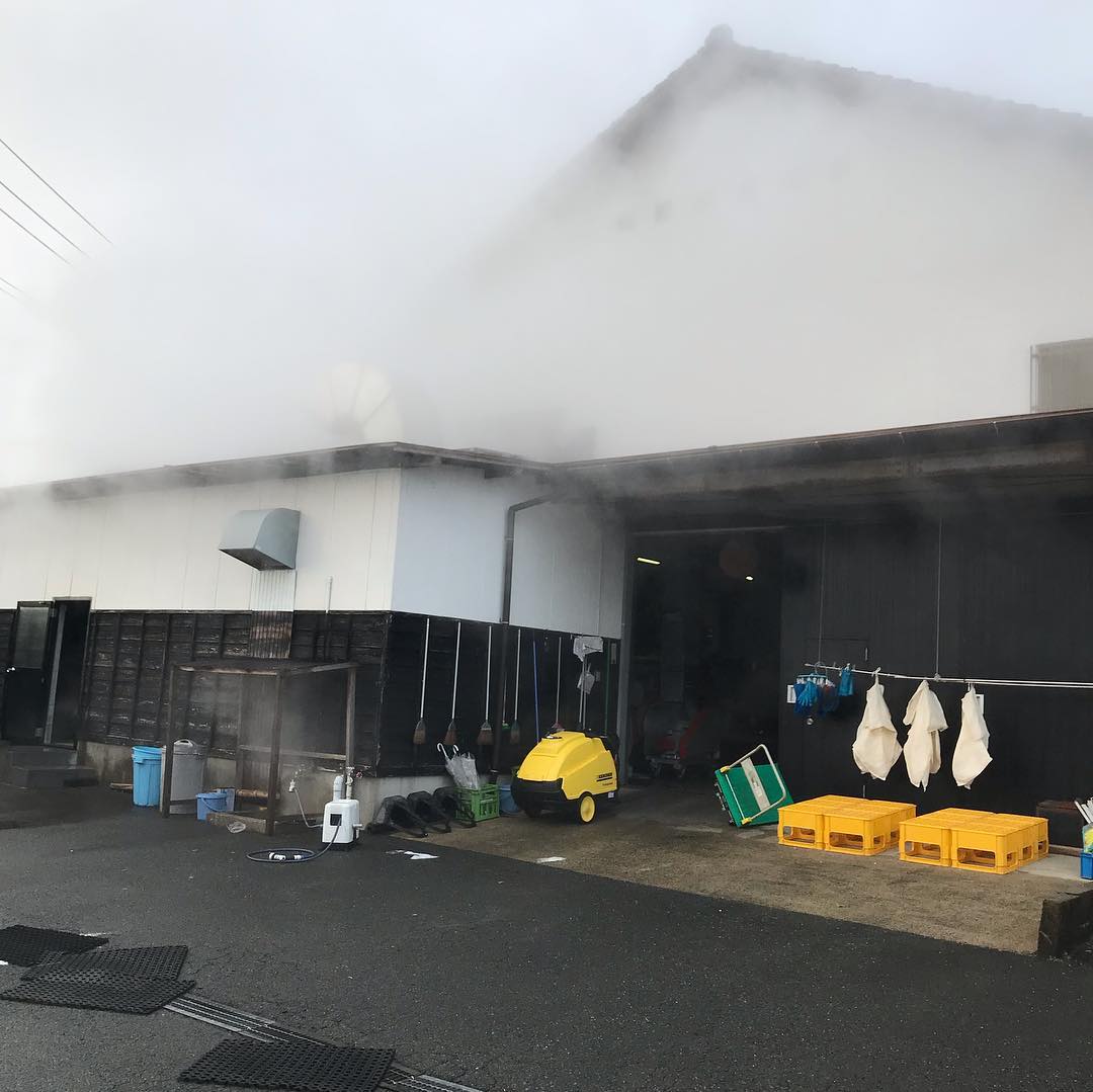 今日の午前中は蔵見学に来てます。１軒目は山の寿！#今日も18時から営業です。#19日まで通常営業します#リニューアルします#イルフェソワフ