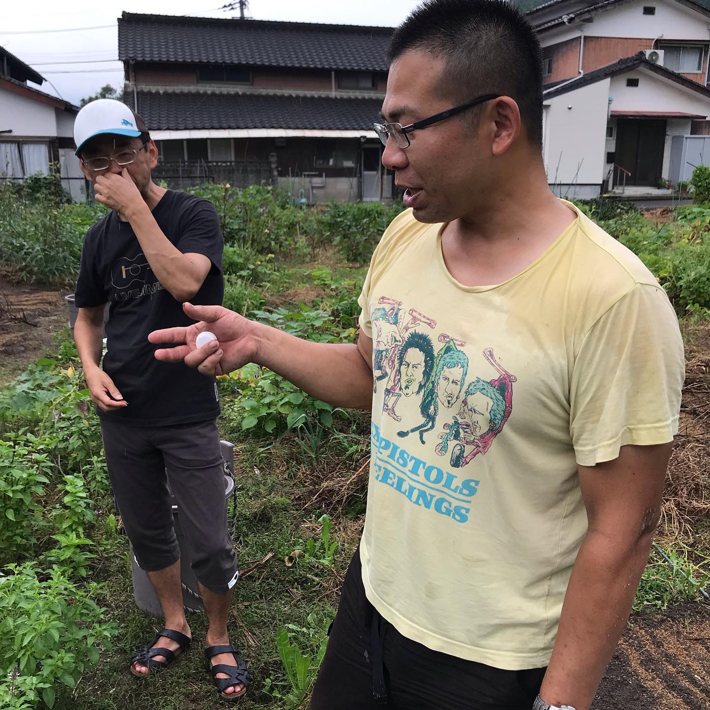 佐賀有田の川久保農園を訪問。いやー刺激的な畑でした！明日からお店のサラダでお出ししますねー#イルフェソワフ #ワイン#日本酒 #薬院#警固#川久保農園