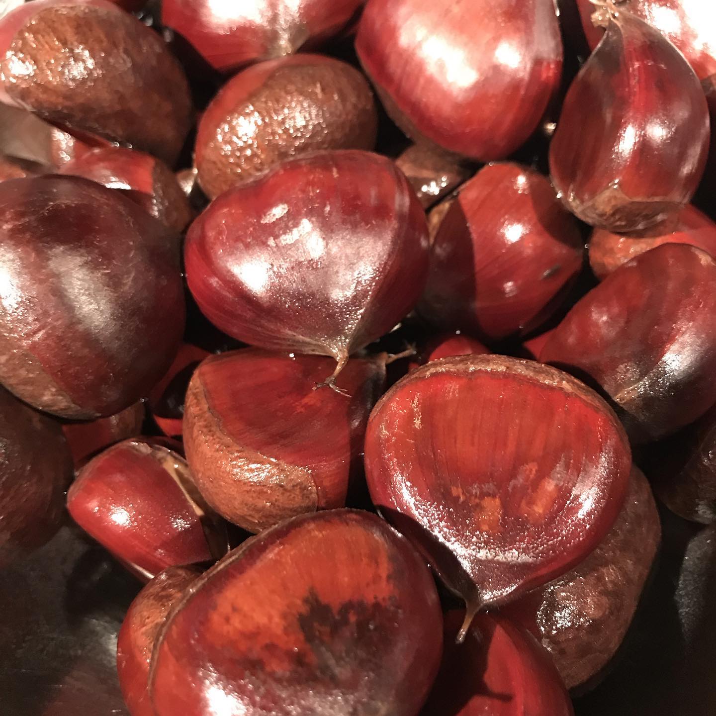 いい艶してます。栗ご飯でどうでしょうか！むかごご飯もあるよー#イルフェソワフ #ワイン#日本酒 #薬院#警固