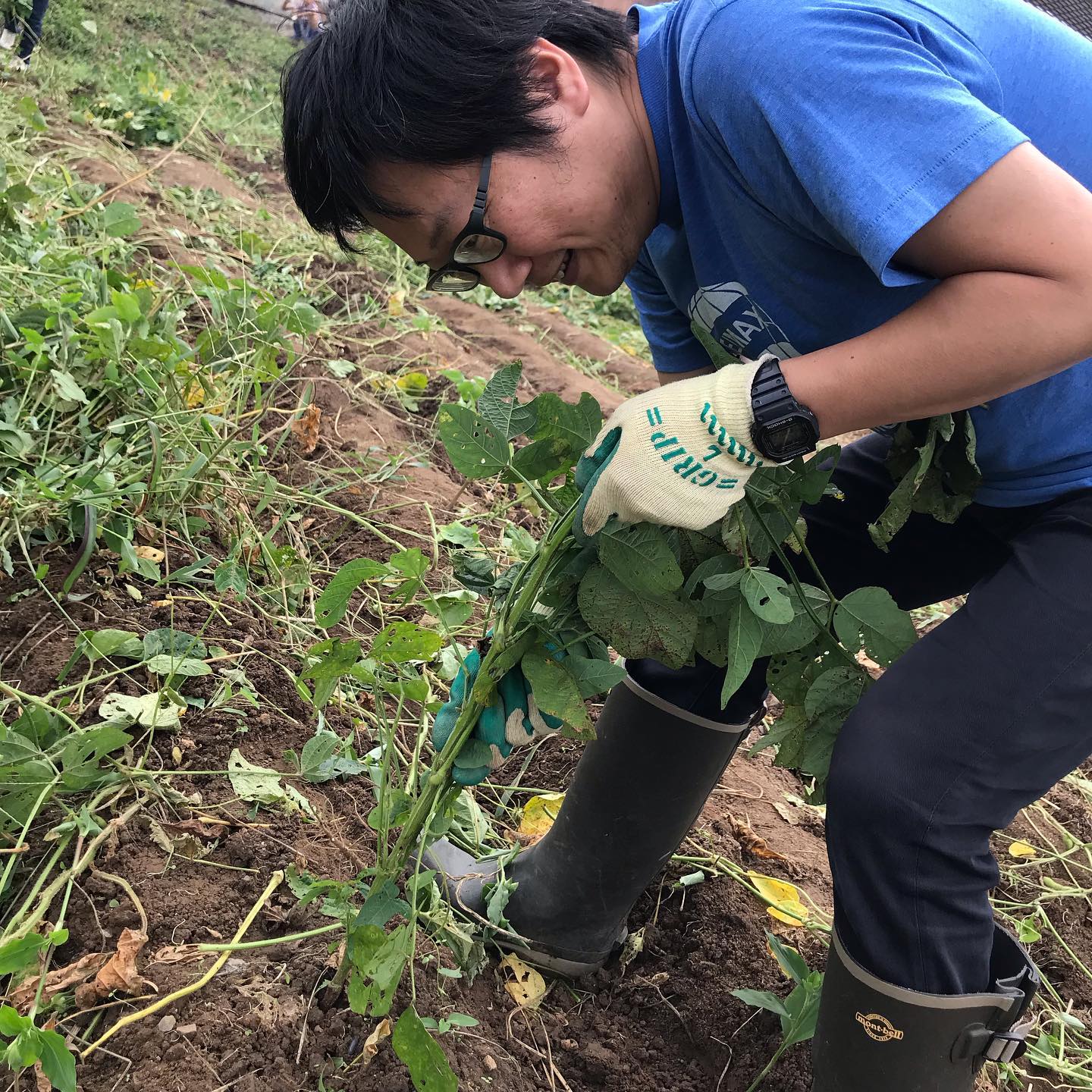 宗像日本酒プロジェクトで知り合った福島さんのえだまめ収穫のイベントに来てます。収穫したばかりの枝豆は、甘みがあってホント旨いなあ#イルフェソワフ #ワイン#日本酒 #薬院#警固#枝豆#農業福島園