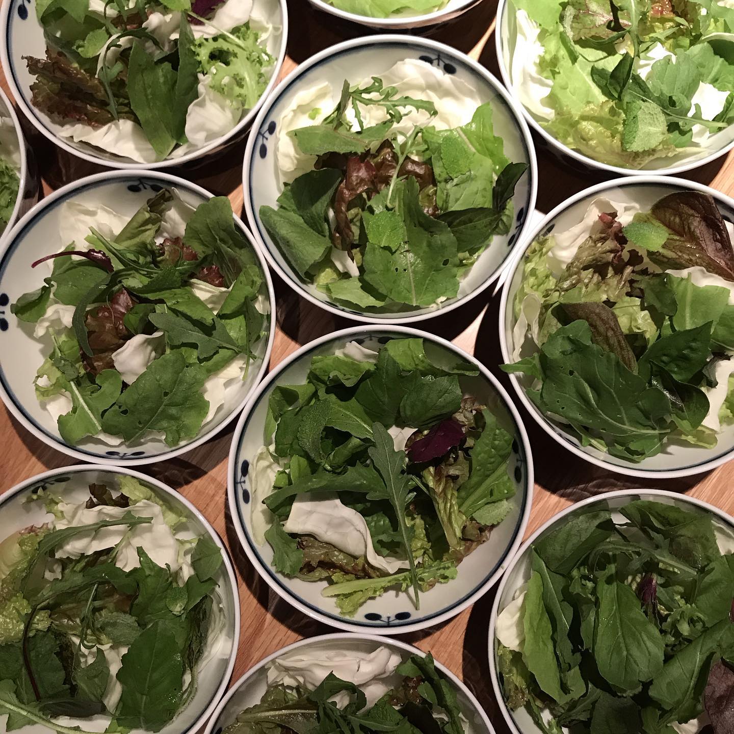 うちのお店はお通しで季節のサラダをお出ししています。葉っぱもの中心で大体の10種以上は入ってます。結構パンチのある味わいのものが入ってますよ！#イルフェソワフ #ワイン#日本酒 #薬院#警固#何種類かは数えたことがない