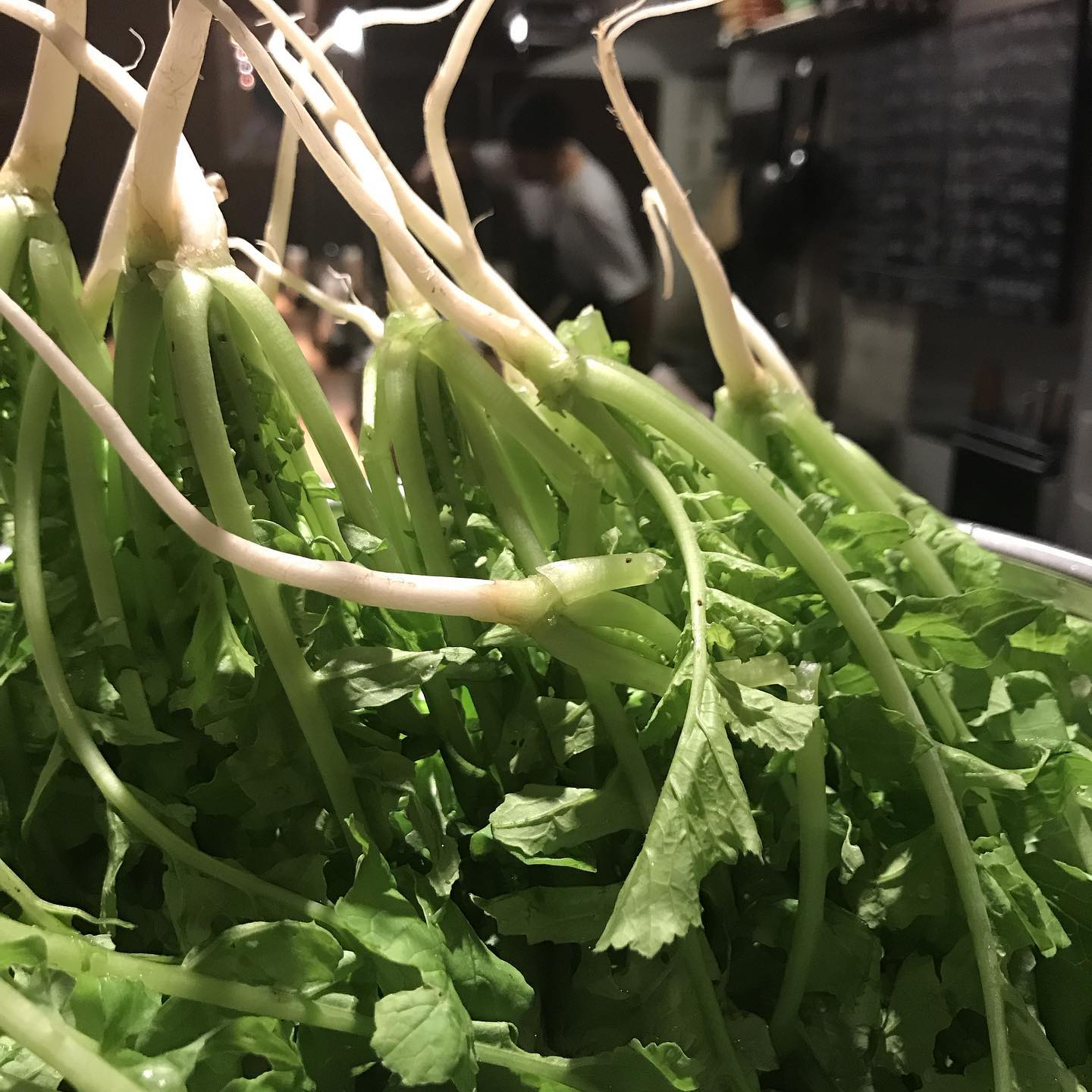 大根の間引き菜、つけあわせの漬け物に。奥にちらっとマッキー#イルフェソワフ #ワイン#日本酒 #薬院#警固#隠れ家