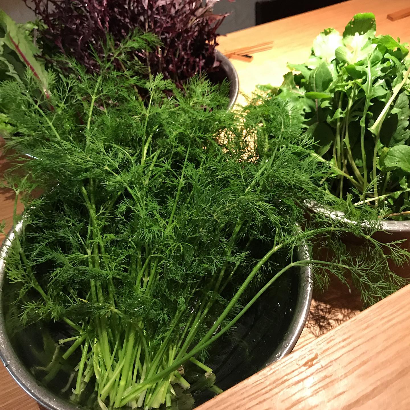 うちの畑の葉っぱと、糸島在住で半農半XのY氏からいただいた葉っぱを洗い終えたところ。泥や虫が混じらないように丁寧に洗います。収穫しても水に放つとパリッとなり、イキイキとした生命力が感じられます。#イルフェソワフ #ワイン#日本酒 #薬院#警固