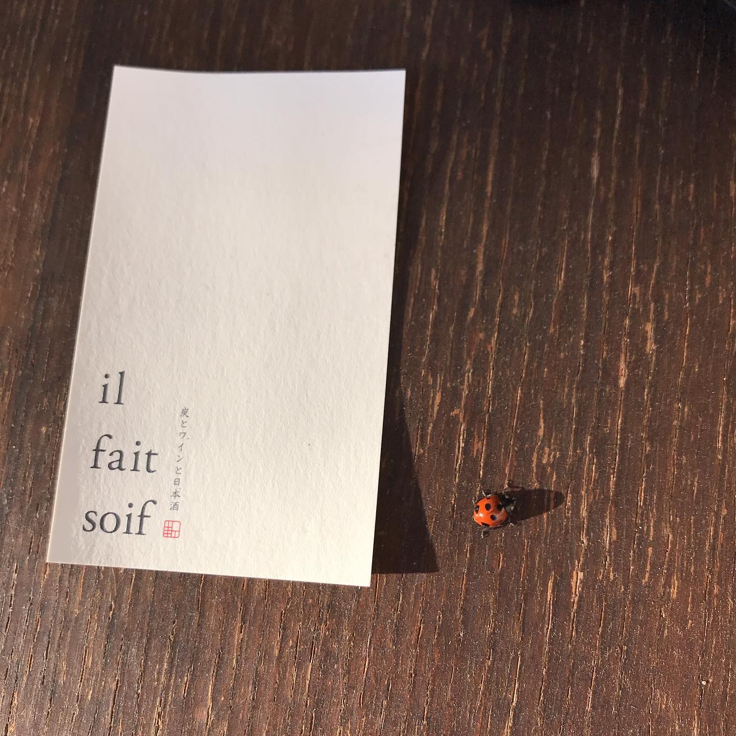 畑のスタッフてんとう虫くんからお知らせです！30日まで通常営業です。29日の日曜日も営業します！新年は4日より営業です。よろしくお願いします。#イルフェソワフ #ワイン#日本酒 #薬院#警固#野菜に紛れてた