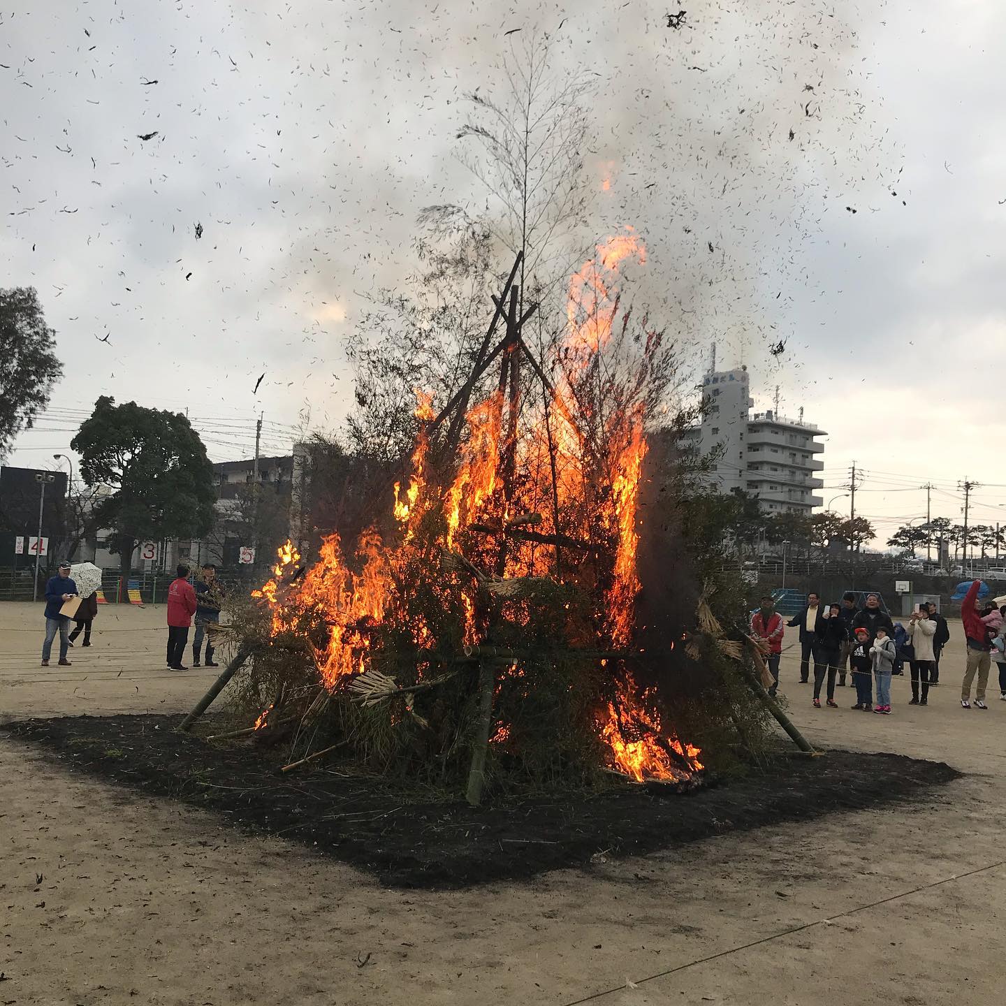 今日1/12は日曜日ですが営業しています。明日1/13はお休みいただきます。本日カウンターもテーブルも空きあります。よろしくお願いします。近所の小学校でやってたどんと焼きを見学にー。こういう習慣はいいですねー#イルフェソワフ #ワイン#日本酒 #薬院#警固#どんと焼き