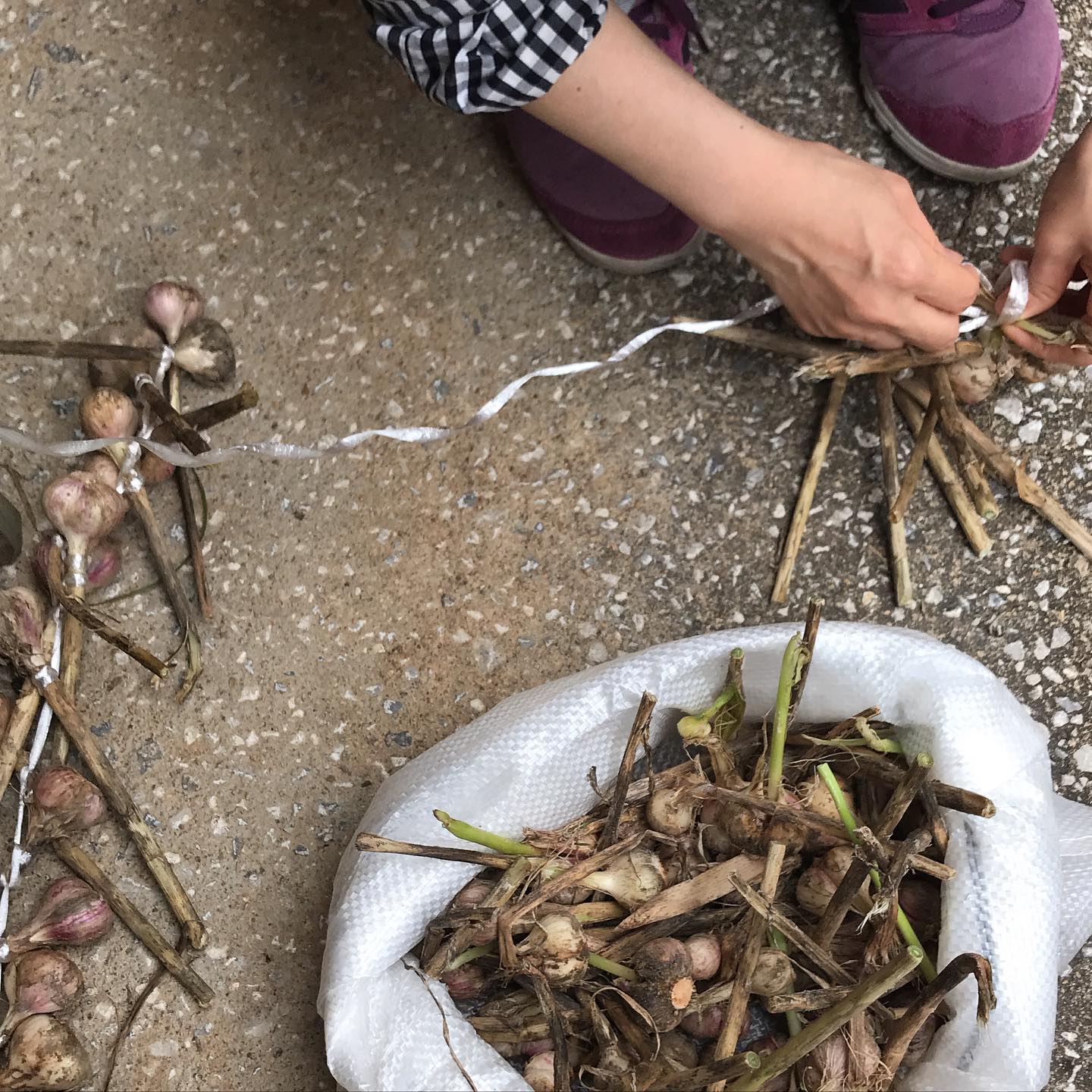 本日5/26 店内営業も席の間隔を空けて再開してます。15時から21時ぐらいまでなんとなくやっとります。炭火焼きは16時からです。収穫したニンニクを干すために括ってます。テイクアウトは今週末で終了予定です。 ※ワインのボトルお持ち帰り販売もできます。2200円〜本日のテイクアウトメニューー炭火焼きー・博多一番鶏のモモ肉と焼き野菜　1350円・唐津産豚肩ロースと焼き野菜　1760円・本日の鮮魚(イサキ)と焼き野菜　1350円・ブリカマの塩焼き　950円・手羽先のスモーク　1本　250円ーその他ー・前菜のいろいろ盛り合わせ　1350円・大庭さん(須恵町)の気合の入った野菜サラダ　460円・前菜盛り合わせ内の単品選んで2種　550円全て税込イルフェソワフ　713-4550 福岡市中央区警固1-4-7 ※炭火焼きはお時間がかかりますので、お電話にて来店時間をお知らせください。持ち帰り容器の持参大歓迎です！ 20センチくらいの丸皿や角皿でOK！ご予約時にお伝えくださいね。ワインのボトル持ち帰りもできます。いつものように相談しながら選びますねー  #イルフェソワフ #ワイン#日本酒 #薬院#警固#炭火焼き#テイクアウト福岡#おもちかえりなさい福岡#おもちかえりなさい福岡中央区#テイクアウトワイン福岡#持ち帰りワイン福岡