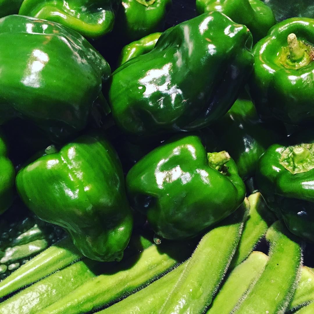 朝採りのピーマンと丸オクラ。もうすぐ終了かなぁ〜