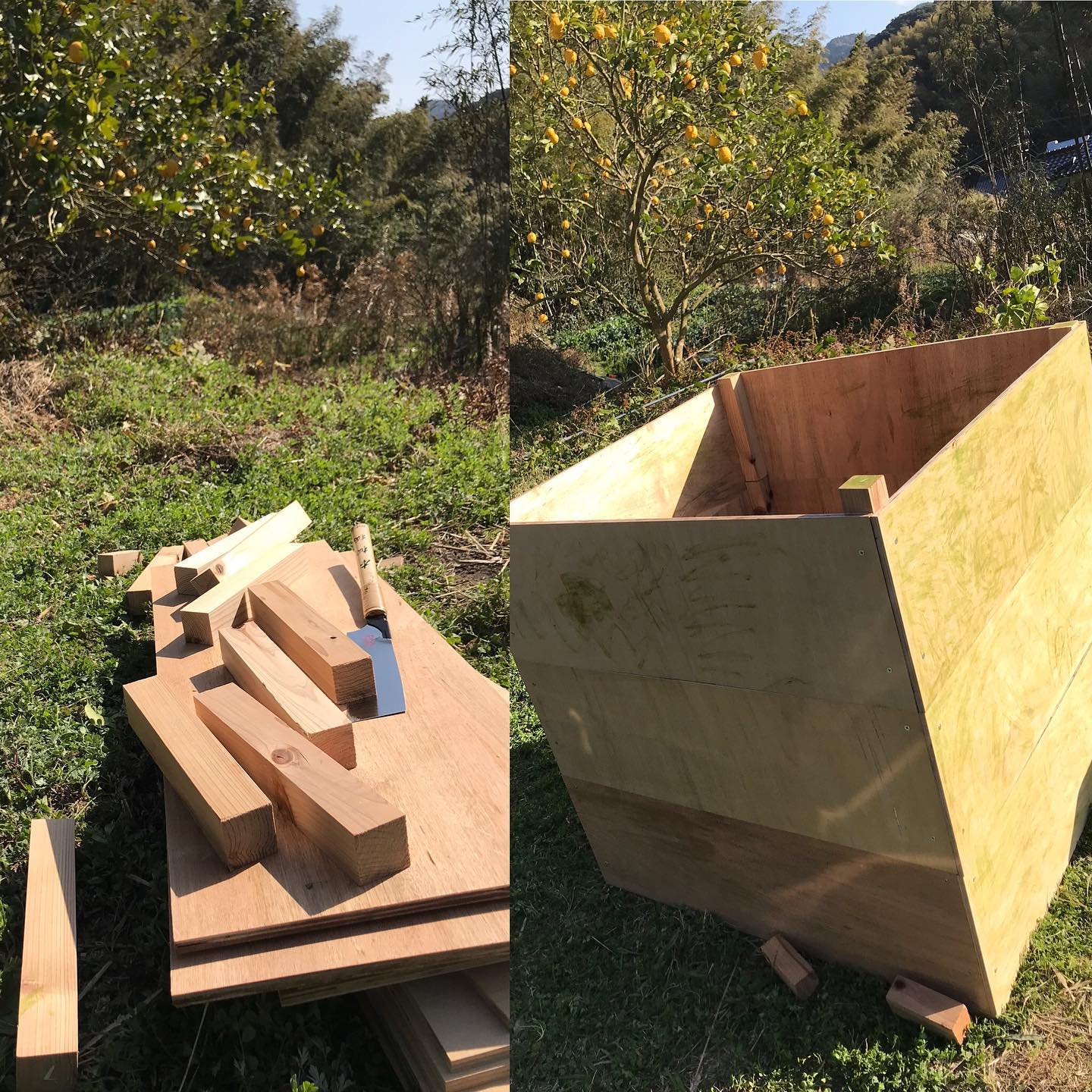 昨日2/21は天気も良く、まさに畑日和。前々から作ろうと思ってた堆肥小屋の製作を。米糠と畑で刈った草を入れて発酵させて、また畑に戻す。草の処理もできて、なおかつ畑の養分にもなる。一石二鳥なのだ。まあ今日はここまでで。風が強かったなぁ〜。畑はすっかり春です。今週も17時から20時までの時短営業です。よろしくお願いします。#イルフェソワフ #ワイン#日本酒 #薬院#警固