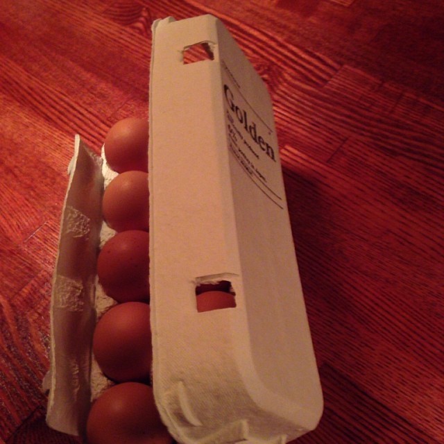 抗生物質不使用の有精卵が朝倉郡から届きました。自家製のマヨネーズなどに使ってます。この前は双子が出たよ！