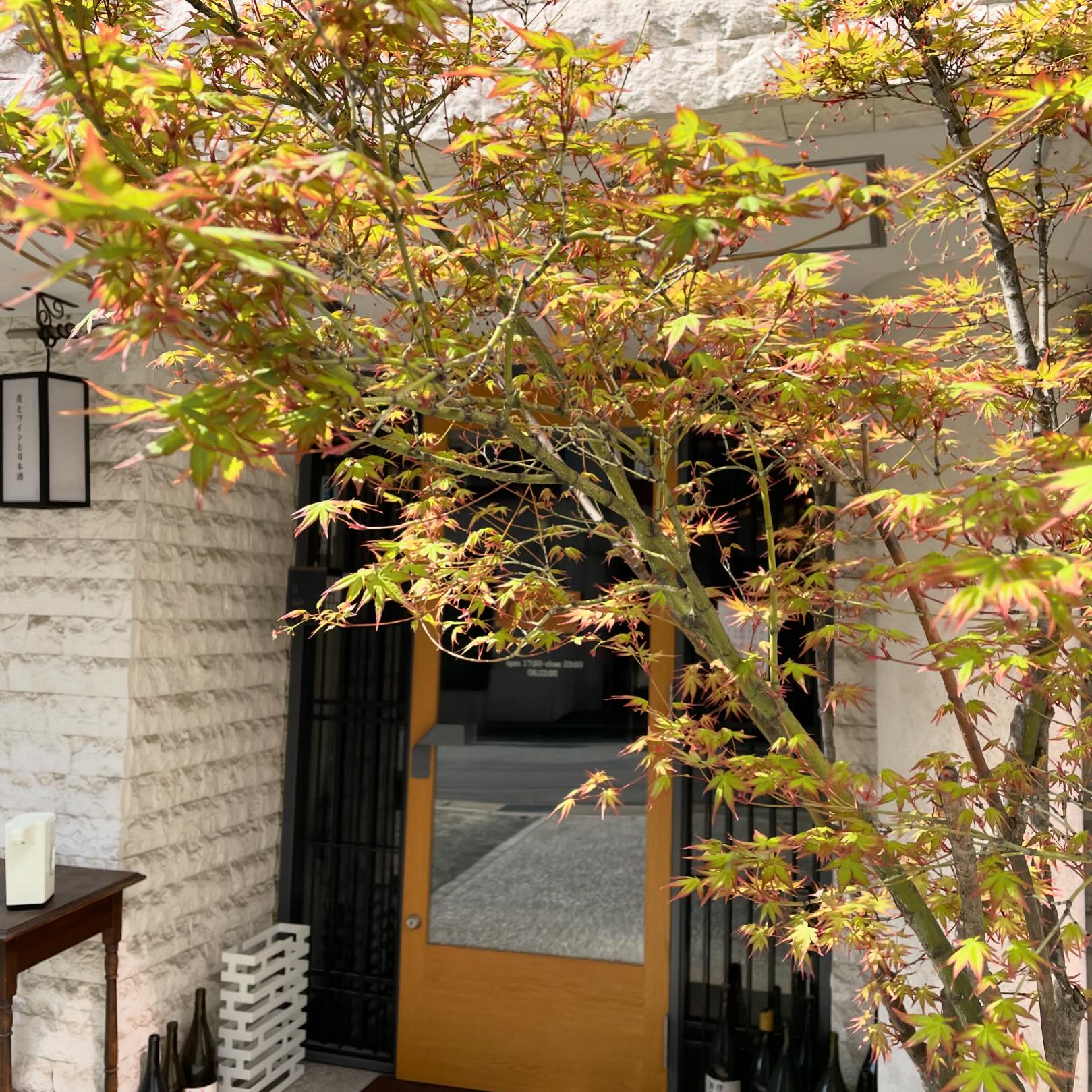 今日はいい天気になりましたねー店の前の紅葉も新芽が出て来て、春の息吹を感じます。今日4/5も、明日4/6もゆっくりしてそうです♪お電話お待ちしてます092-713-4550@ilfaitsoif #イルフェソワフ #ワイン#日本酒 #薬院#警固#焼き鳥#ナチュラルワイン#ヴァンナチュール#自然派ワイン