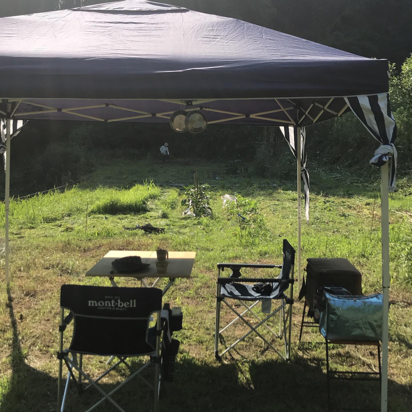 本日6/21は日曜日でお休みいただいてます。最近定番化して来た畑デイキャンプ。なんとなく装備も充実してきたなあ。明日6/22は17時から営業してます。#イルフェソワフ #ワイン#日本酒 #薬院#警固#畑デイキャン