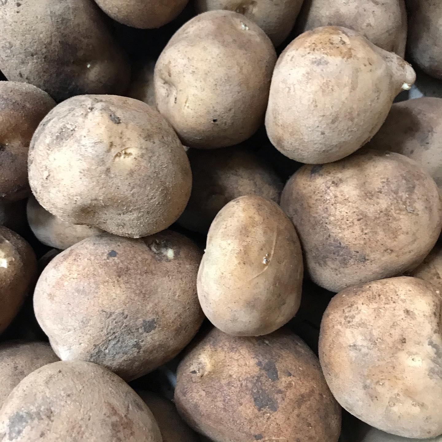 今日5/11も14時より20時までテイクアウト営業します。炭火焼きは16時から種取り農家のパイオニア！雲仙の岩崎さんのじゃがいもは、しっかりイモの味がして絶品です。焼き野菜や前菜盛り合わせ内のポテサラでお出ししています。本日の持ち帰りメニュー※ワインのボトルお持ち帰り販売もできます。2200円〜ー炭火焼きー・博多一番鶏のモモ肉と焼き野菜　1350円・唐津産豚肩ロースと焼き野菜　1760円　NEW!・手羽先のスモーク　1本　250円ーその他ー・前菜のいろいろ盛り合わせ　1350円・大庭さん(須恵町)の気合の入った野菜サラダ　460円・前菜盛り合わせ内の単品選んで2種　550円全て税込営業時間　14時ー20時　炭火焼きは16時のからお渡しとなります。イルフェソワフ　713-4550 福岡市中央区警固1-4-7 ※炭火焼きはお時間がかかりますので、お電話にて来店時間をお知らせください。持ち帰り容器の持参大歓迎です！ 20センチくらいの丸皿や角皿でOK！ワインのボトル持ち帰りもできます。いつものように相談しながら選びますねー  #イルフェソワフ #ワイン#日本酒 #薬院#警固#炭火焼き#テイクアウト福岡#おもちかえりなさい福岡#おもちかえりなさい福岡中央区#テイクアウトワイン福岡#持ち帰りワイン福岡